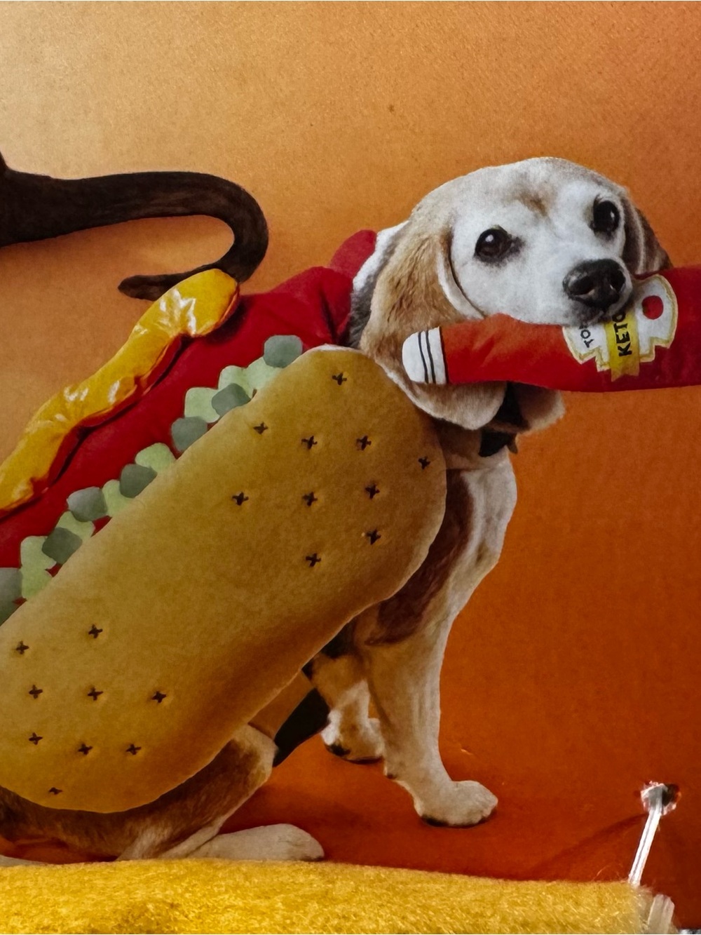 Boots & Barkley Hot Dog Pet Costume & Ketchup Toy Set - Red/Yellow/Tan